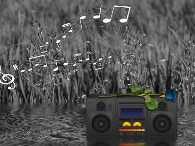 gemini是什么意思