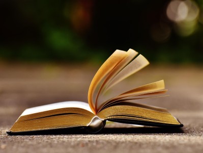 deepseek回答老是变英文